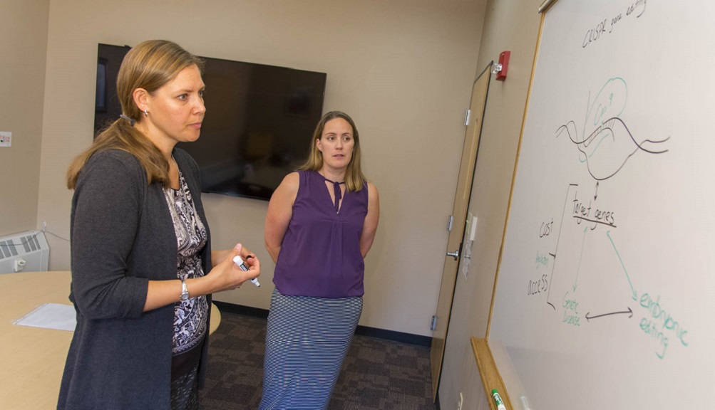 Natalie Farny and Patricia Stapleton stand in front of a white board with information on CRISPR. Farny is holding a marker and is wearing a gray sweater with black and white shirt; Stapleton is wearing a purple shirt and blue striped skirt.