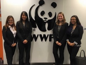 The project team: Yejee Choi, Amanda Agdeppa, Caitlin Burner, and Giselle Verbera.