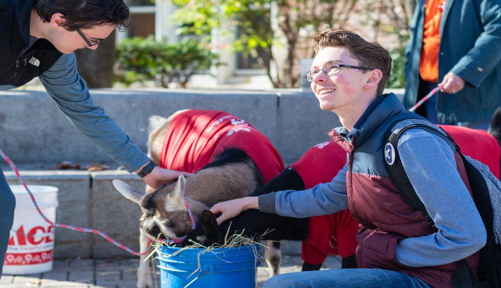 student patting a goat on campus