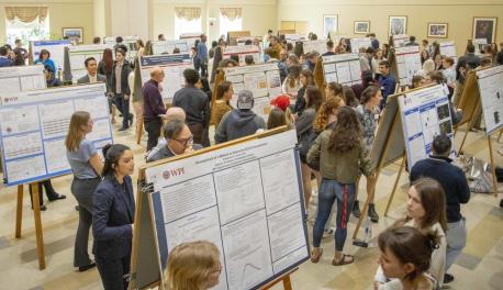 Undergraduate research project posters