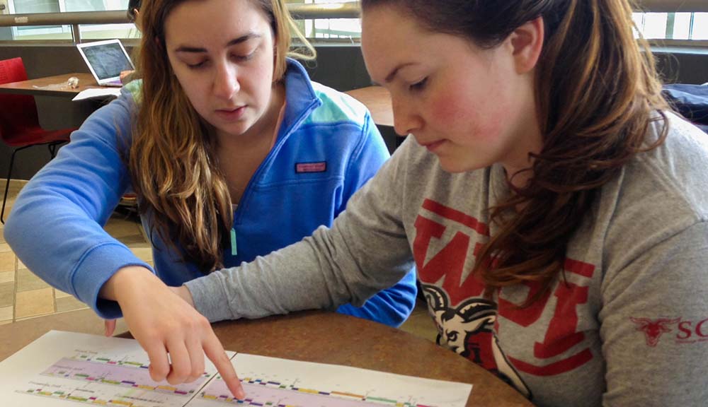 Rules for a group project picture