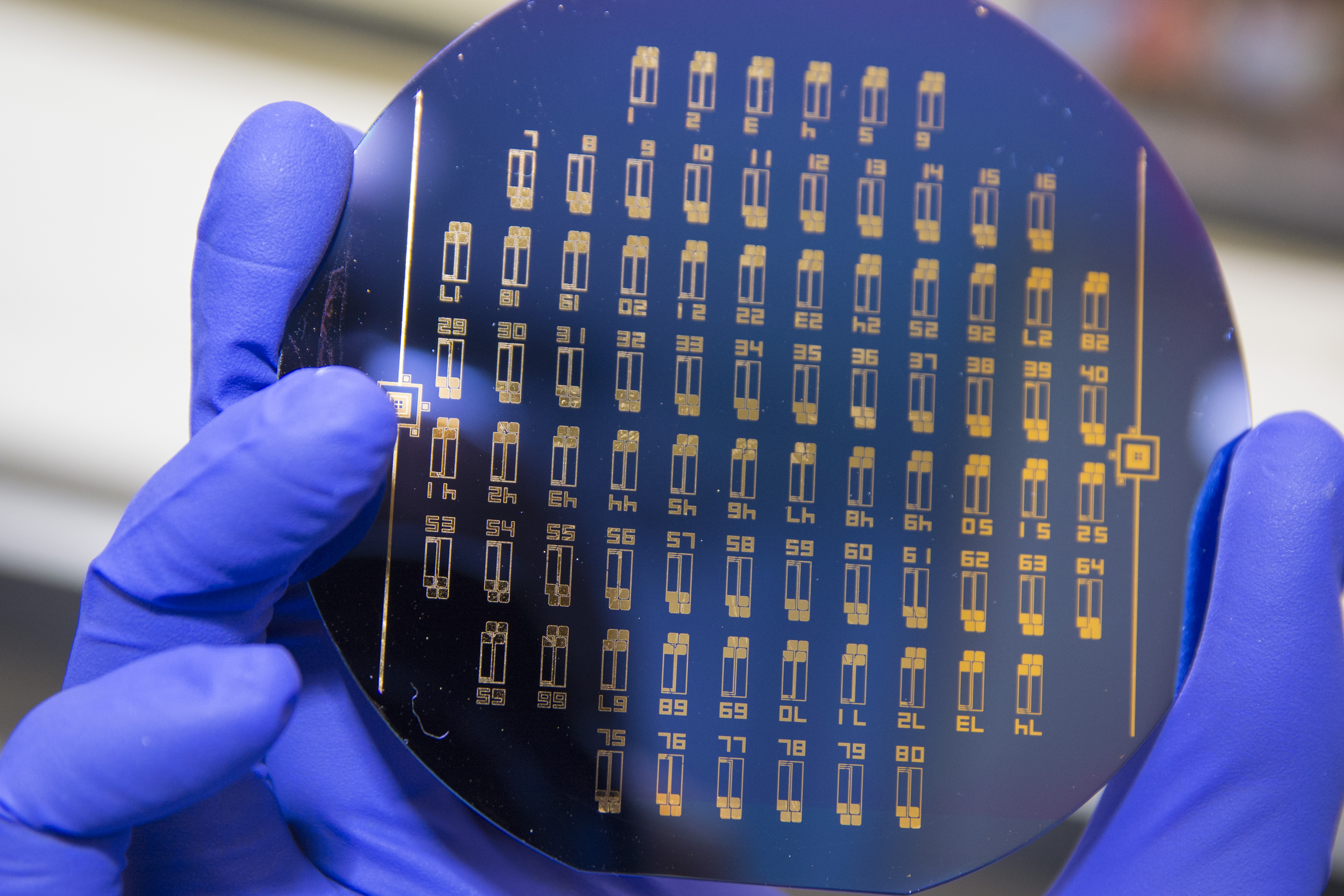 close-up of the WPI liquid biopsy chip
