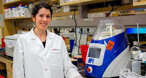 Professor Scarlet Shell has received a prestigious $1.1 million National Science Foundation CAREER Award.