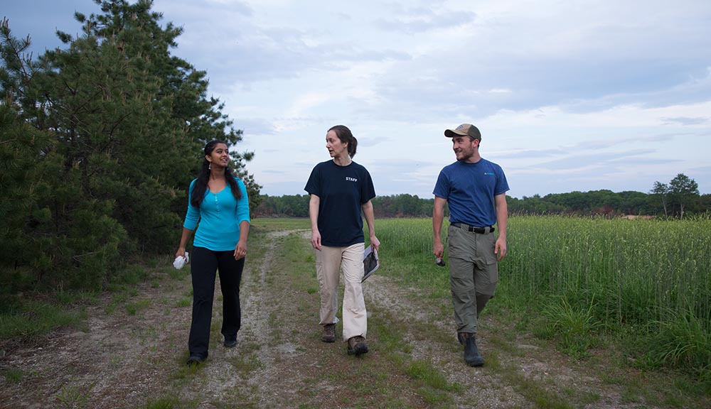 Tracking the Mysterious WhipPoorWill News WPI