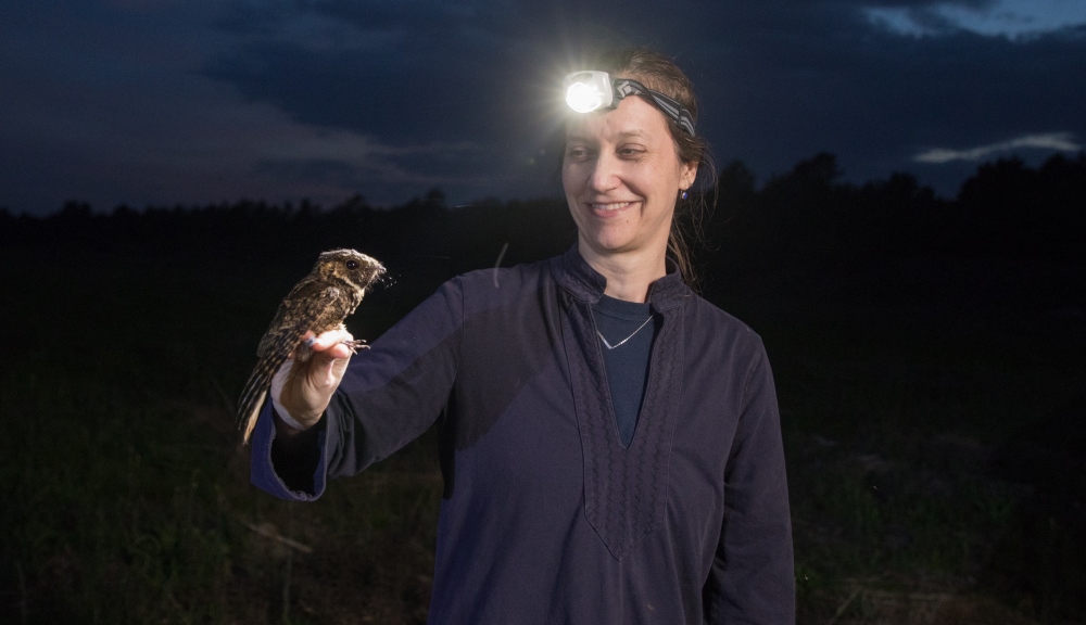 Marja Bakermans with the subject of her current research: the whip-poor-will. This is one of several specimens she and her team captured and tagged during a recent evening in the field.