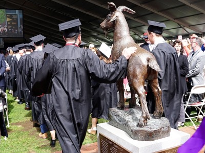 during the procession, a student pats the Proud Goat statue alt