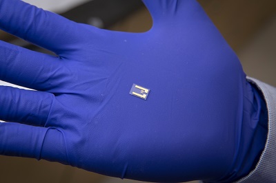 WPI post doctoral fellow Sadegh Mehdi Aghaei holds a single chip in his gloved hand.  alt