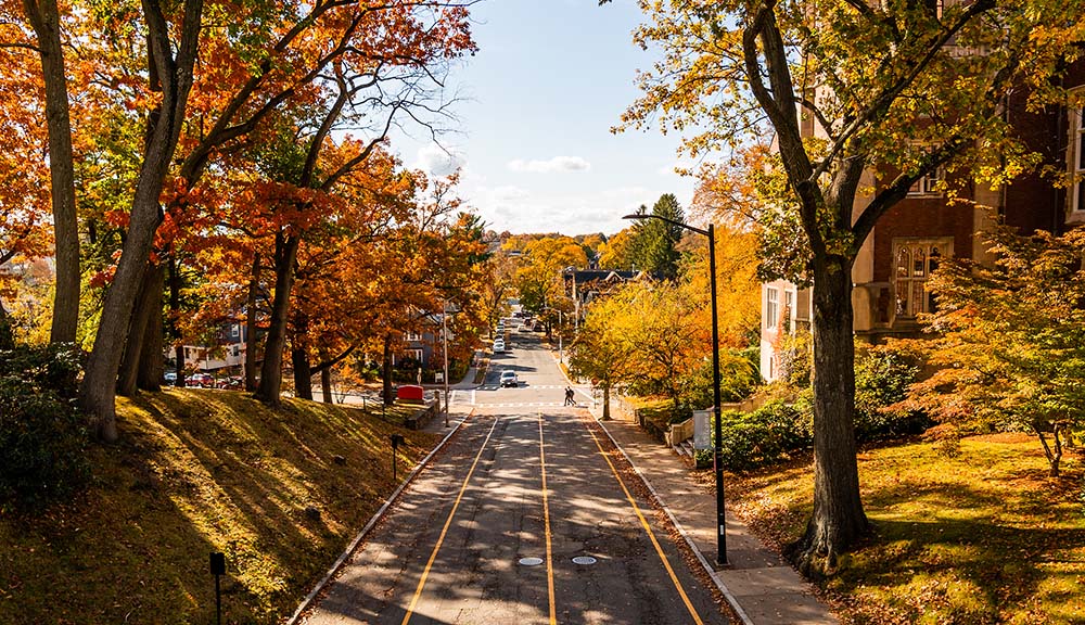 A photo of Institute Road lined with fall foliage.