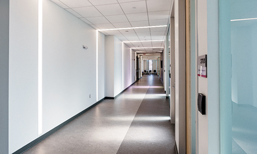Patient Clinical Care Suites - Hallway