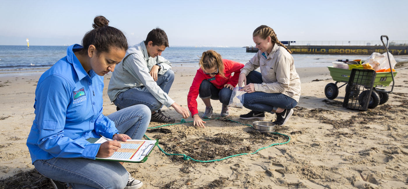 The Global School | Academics | WPI