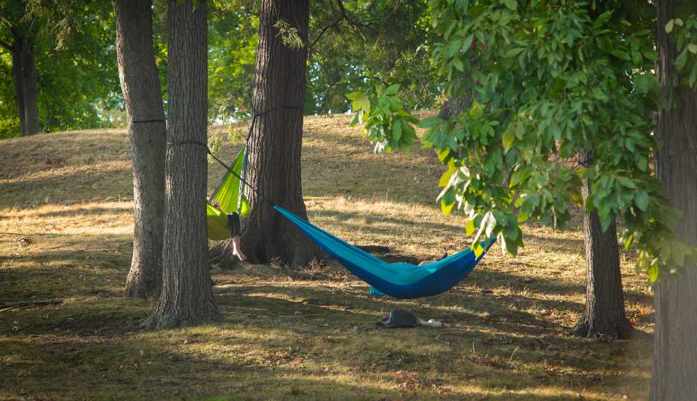 The Month in Photos September 2020 News WPI