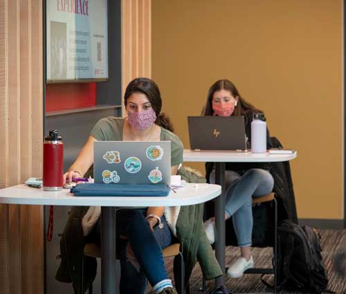 Women Studying on Laptops