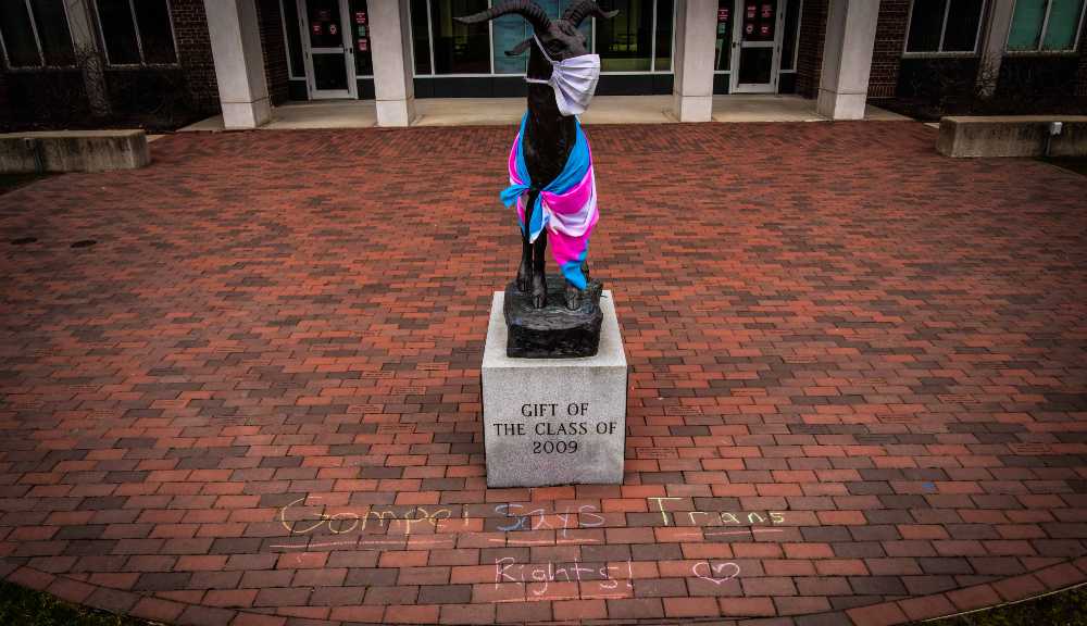 A Gompei statue is draped in the trans flag with "Gompei says trans rights!" written in chalk on the ground in front of it.