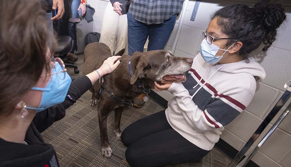 Two students pet a visiting dog in the Business School.