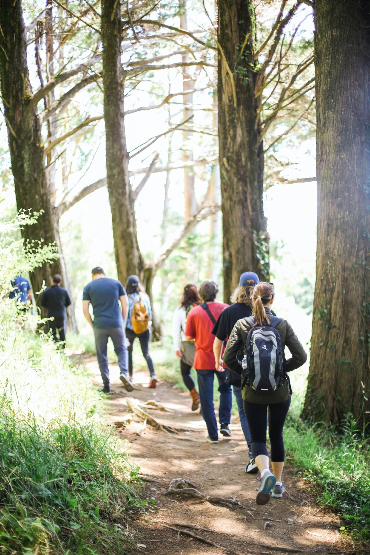 A group of people walking through a hiking path