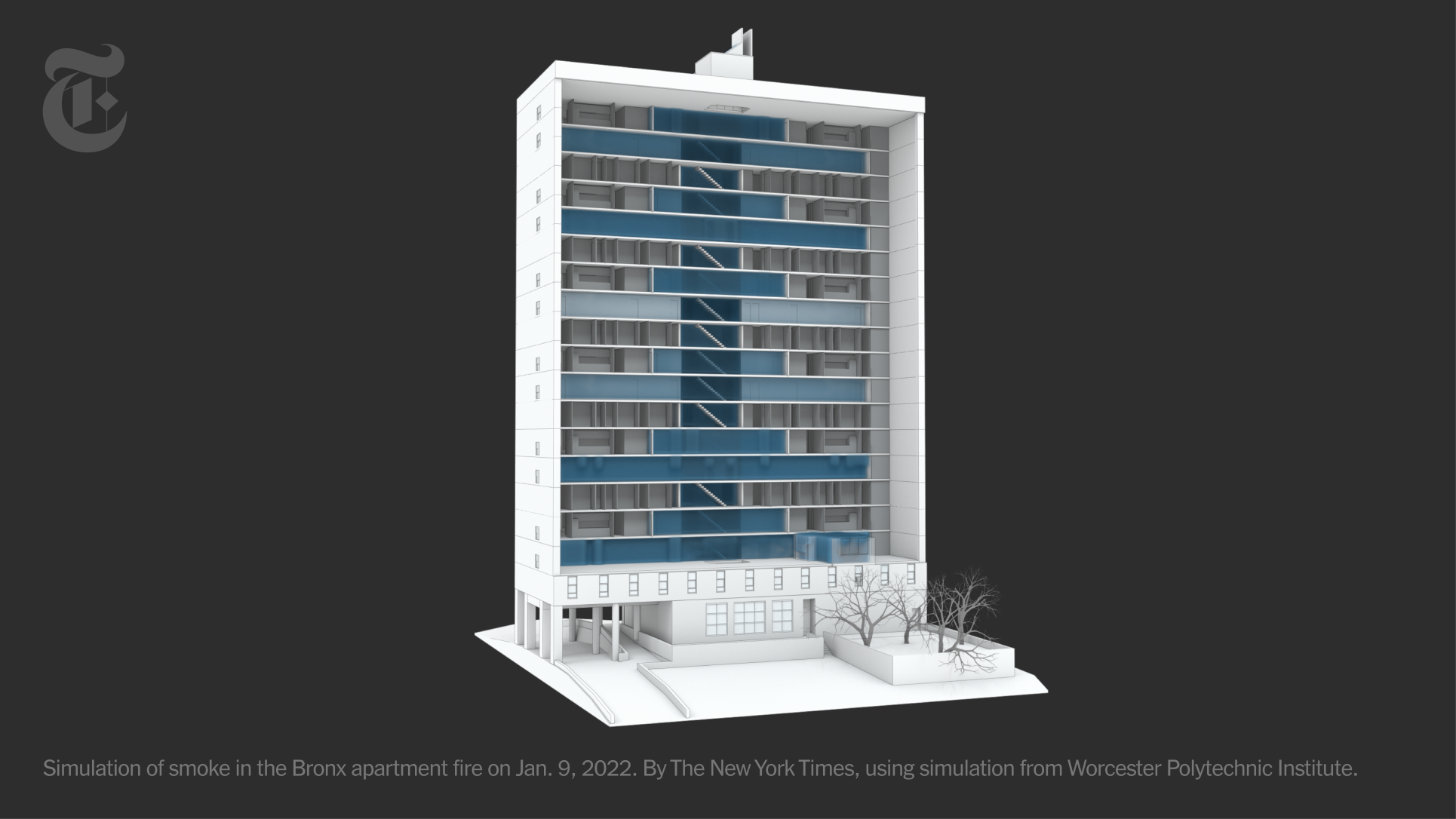 Graphic image of Bronx Apartment Building