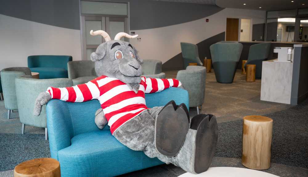Gompei stretches out on a chair in the Center for Well-being.