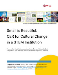 cover of white paper &quot;Small is Beautiful&quot;