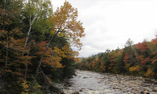 scenic river view from off-campus project in New Hampshire