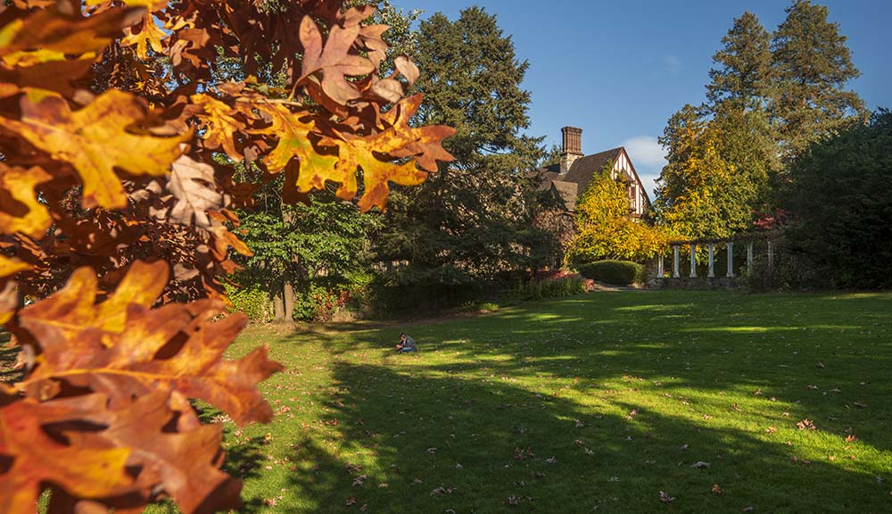 A student sits on Higgins Lawn in the fall.