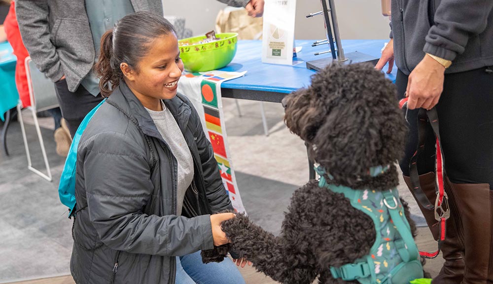 A student shakes hands with a dog during Wellness Day on campus.