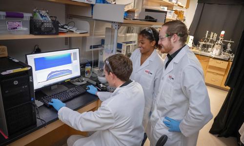 Biomedical engineering students reviewing data on computer screen.