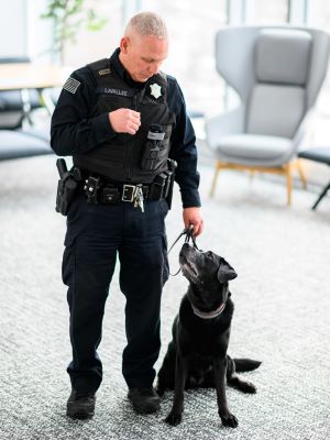 Police officer stands looking at black Labrador Retriever