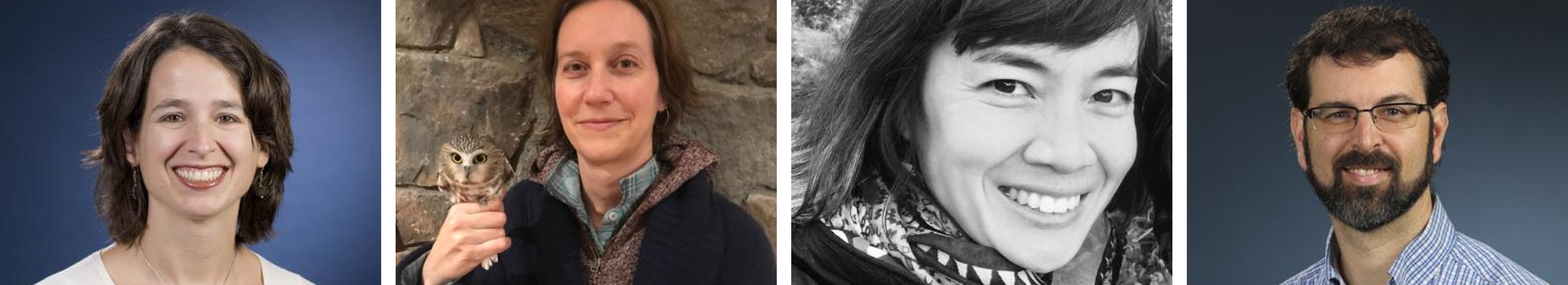 Dehner Bakermans Foo Rosbach