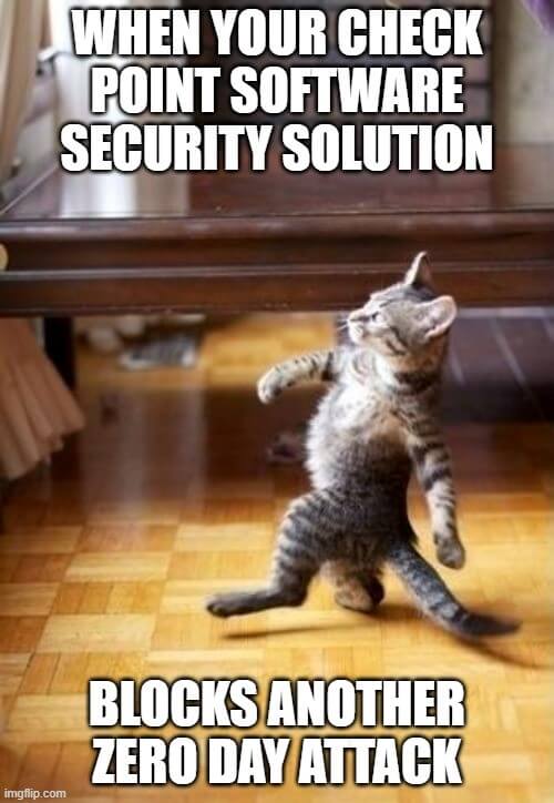 Text says: When your checkpoint software security solution blocks another zero day attack. Image is of a cat standing upright like a person and strutting proudly.