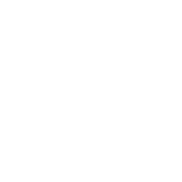 WPI Seal