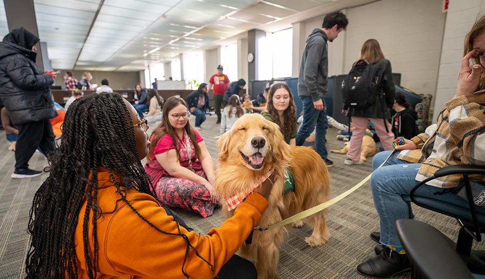 Students visit with therapy dogs during Wellness Day.