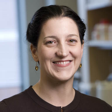 Terri Camesano, Dean of Graduate and Professional Studies