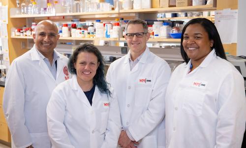 Biomedical researchers Jagan Srinivasan, Carissa Olsen, Kris Billiar, and Catherine Whittington stand in a lab at WPI.