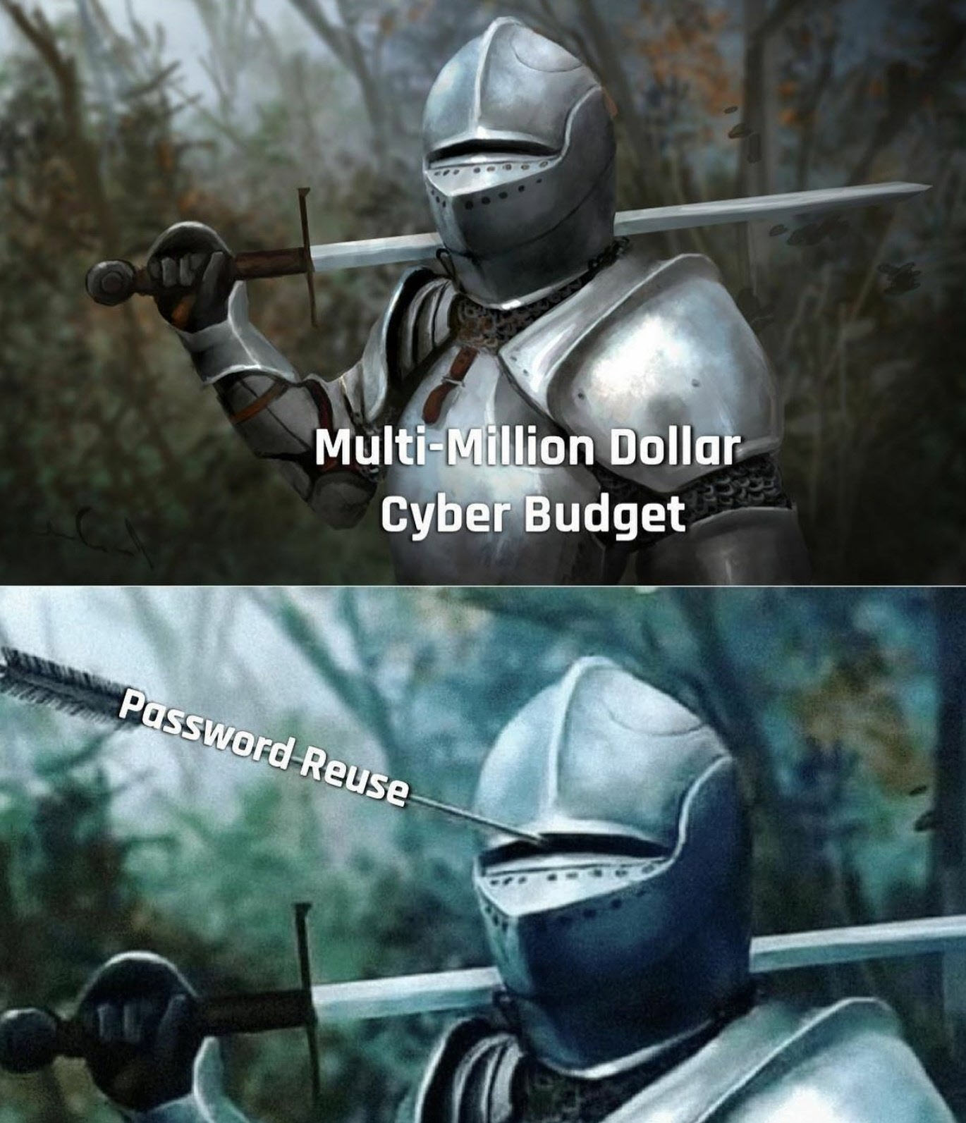 Two pictures of a knight. The first is labeled &quot;Multi-Million Dollar Cyber Budget.&quot; The second is the knight's helmet. An arrow labeled &quot;Password Reuse&quot; is entering the helmet's eye slit.