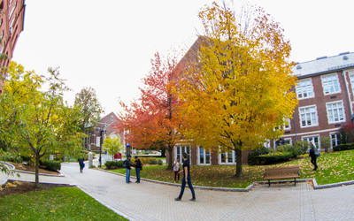 campus shot with yellow fall leaves on trees