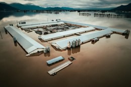 Flooded Farm in British Columbia