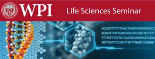 Life Sciences Seminar Banner