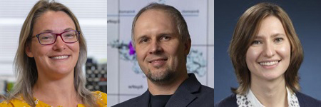 A photo array show researchers led by Jeannine Coburn, including Coburn, Dmitry Korkin, and Lyubov Titova.