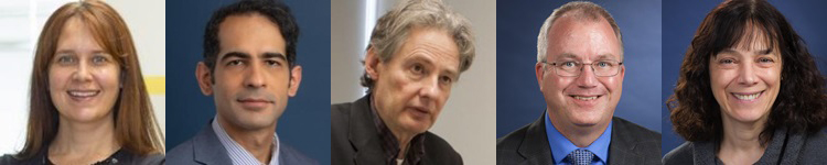 An array of photos shows the researchers involved in a project led by Anita Mattson, including Mattson, Soroush Farzin, Christopher Lambert, Doug Petkie, and Suzanne Scarlata.