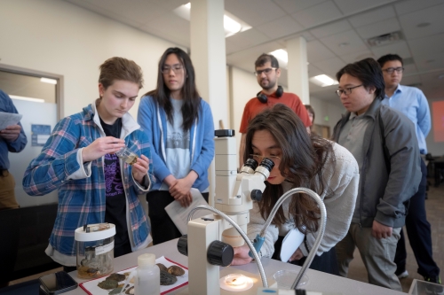 Student looks through microscope as other students look on inside an office setting