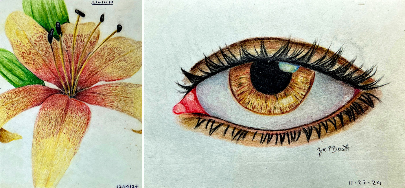 Drawing by WPI student Zoe Bennett of an orange lily next to a close up drawing of an eye.