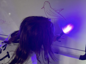 Seventh grade students exploring forensic science, using critical thinking to analyze evidence.