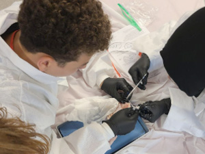 Eighth graders explored biology by dissecting chicken wings to learn about bones, tendons, and muscles
