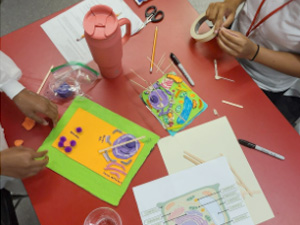 Eighth grade students studying plant cells.