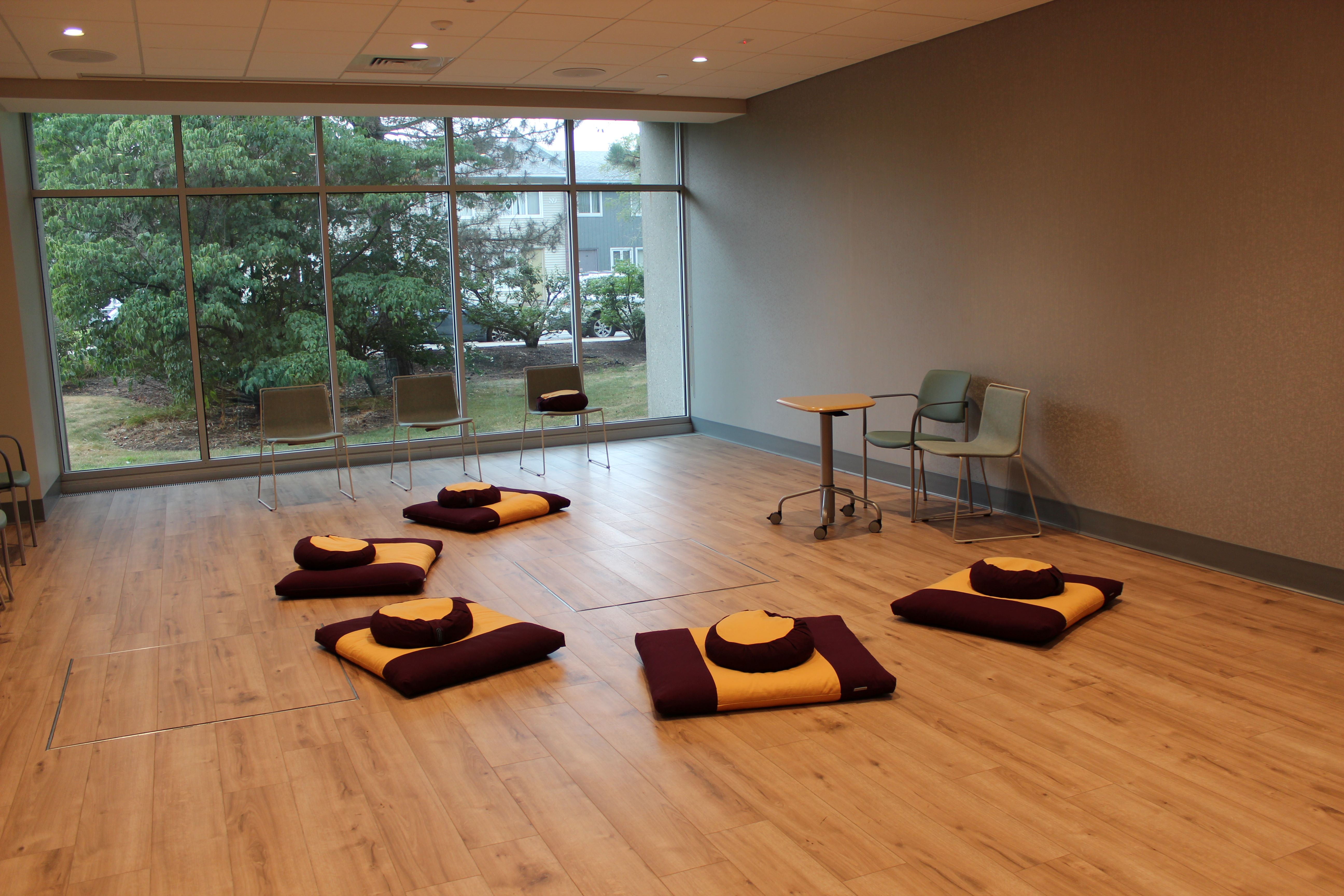 Program Room with meditation cushions