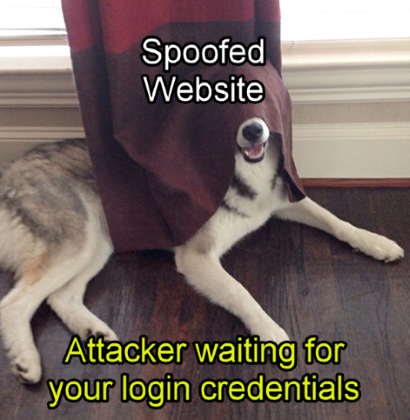 A large gray and white dog is laying down with a curtain covering half of it. The curtain is labeled &quot;Spoofed Website&quot; and the dog is labeled, &quot;Attacker waiting for your login credentials.&quot;