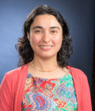 A photo of Prof. Ulkuhan Guler