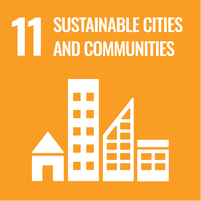 SDG 11 sustainable cities &amp; communities icon