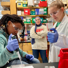 Participants explore drug resistance.