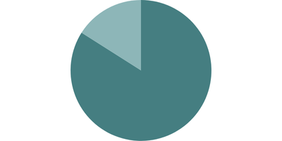 84% pie chart